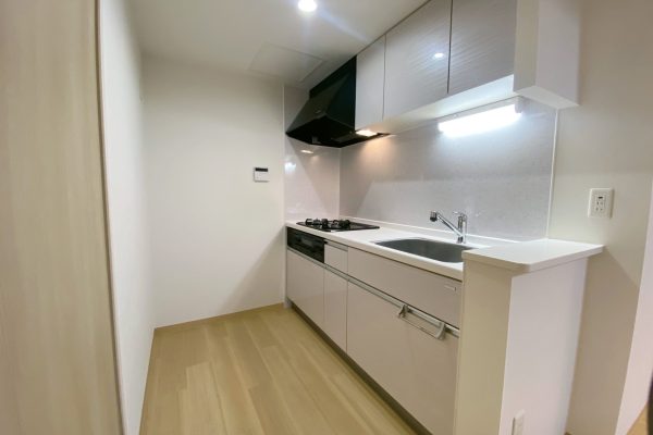 DJI_20251107_100027_566