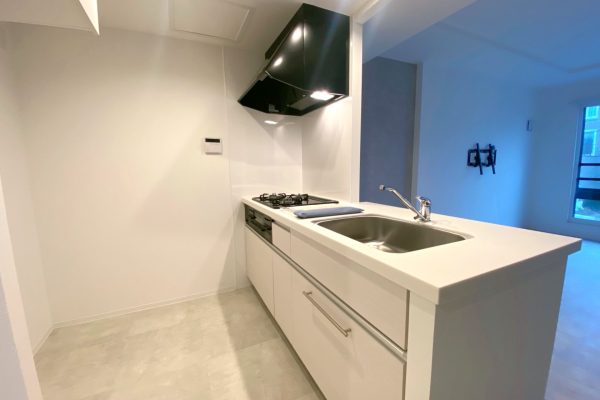 DJI_20251107_104441_510