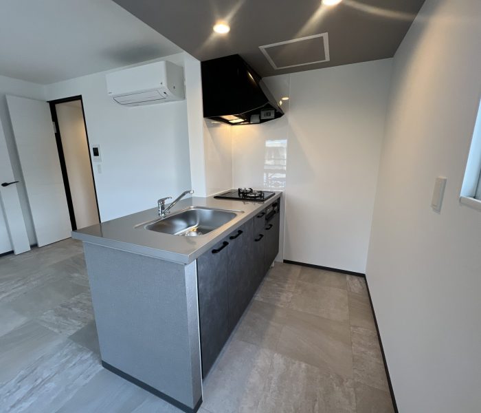 DJI_20251125_112418_901