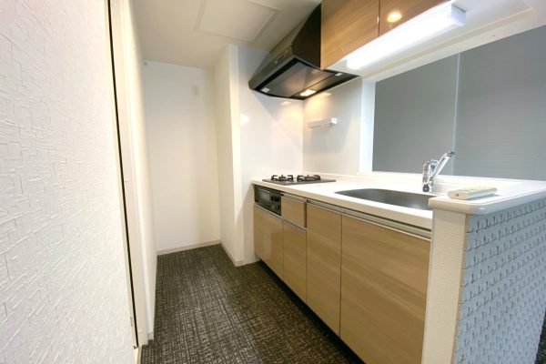 DJI_20260108_103836_155