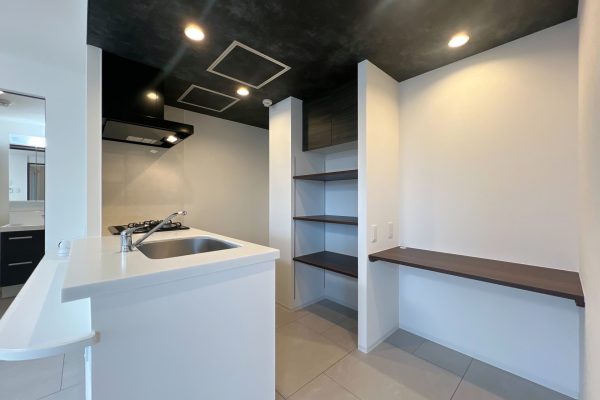 DJI_20260120_112430_488