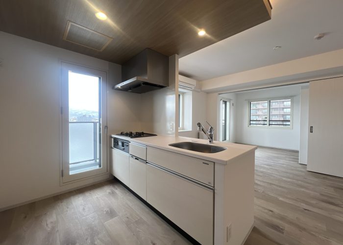 DJI_20260301_125722_511